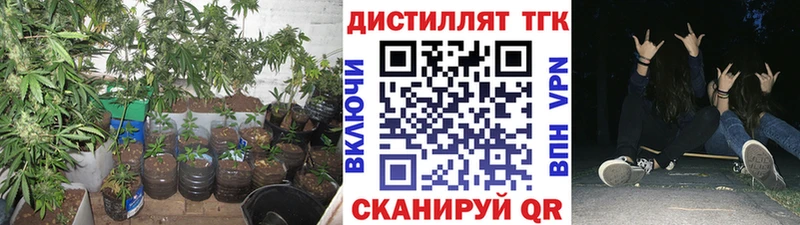 Купить  Ачинск  Дистиллят ТГК жижа 